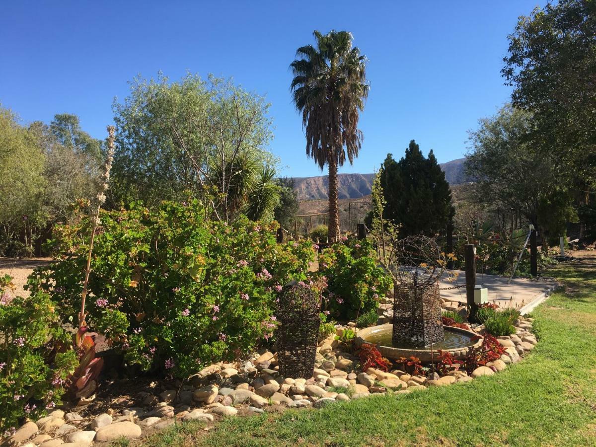 Karoo Life B&B Calitzdorp Exterior photo